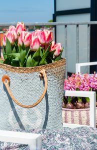 Tulipány v květináči na balkoně a střešní terase